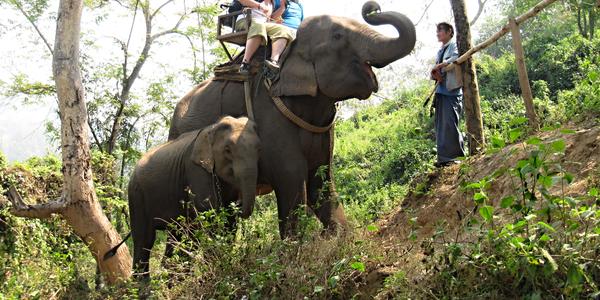 Dobrodružství nedaleko Chiang Mai