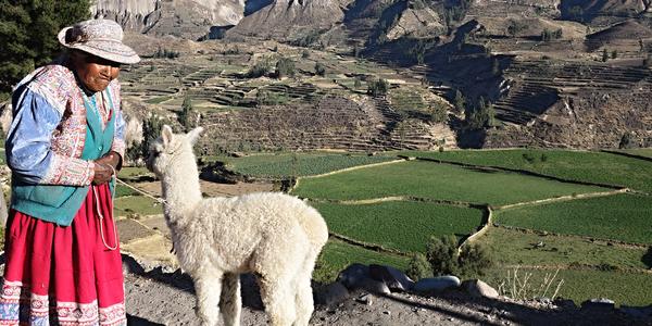 Babička s lamou, Colca 4
