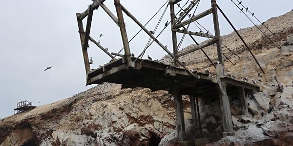 Islas Ballestas 3