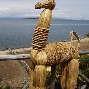 Lama z totory, Titicaca