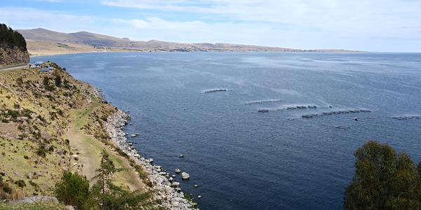 Titicaca