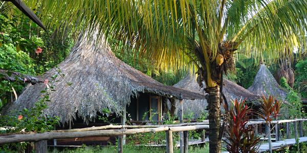 029. Kemp Bujana, Orinoko