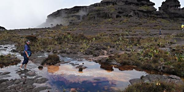 193. Roraima