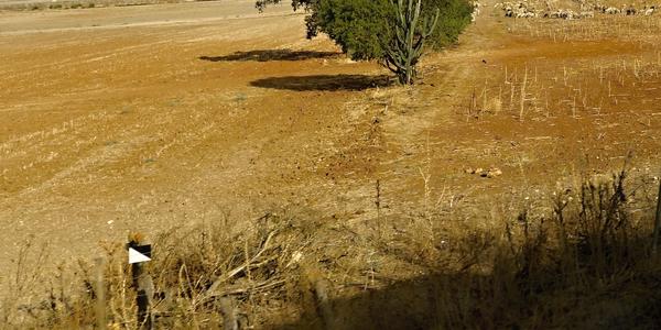 Meseta
