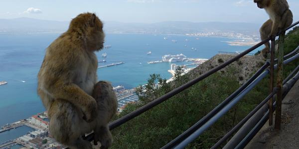 Na gibraltarské skále