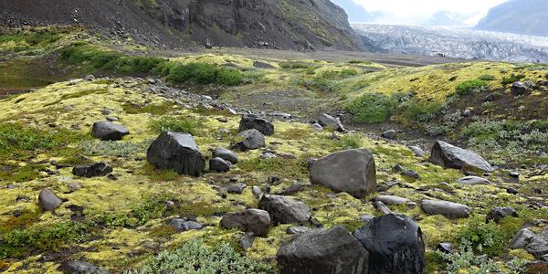 Tundra pod ledovcem Skaftafell