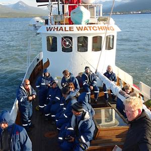 Whale watching