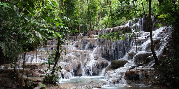 Palenque, Netopýří potok