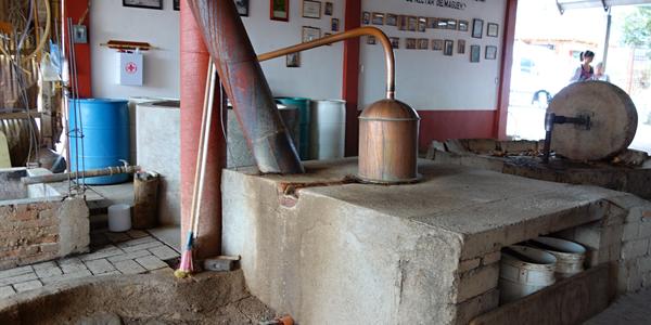 Palírna mezcalu, provoz