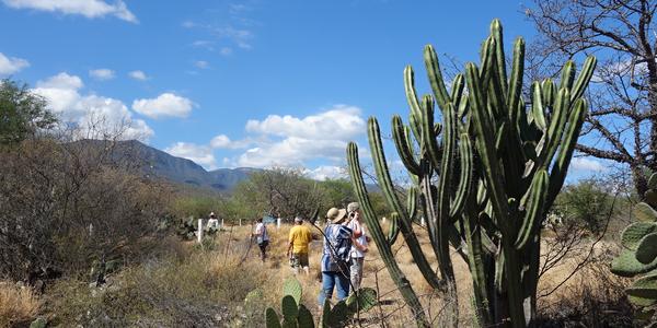 Rezervace Tehuacán-Cuicatlan, 5