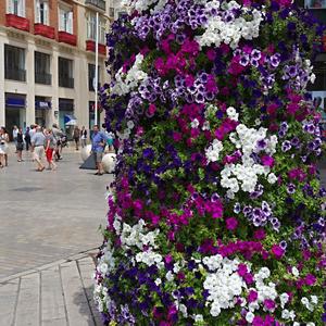 Na pěší zóně, Malaga