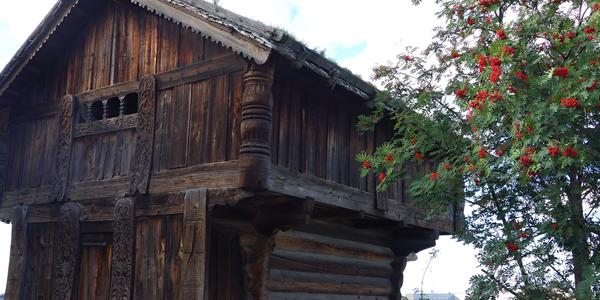 Stabyr, Skansen ve Stockholmu