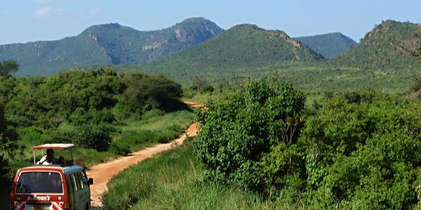 013. Krajina Tsavo West