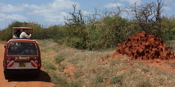 016. Krajina Tsavo West
