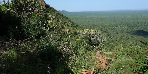 020. Tsavo West