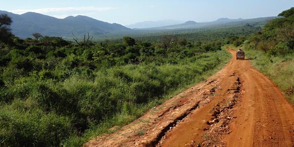 024. Na cestě po Tsavo West