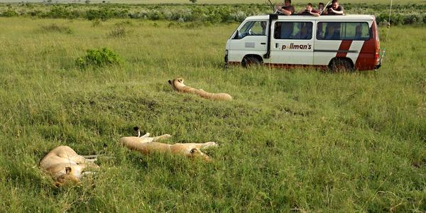163. Safari v Masai Mara