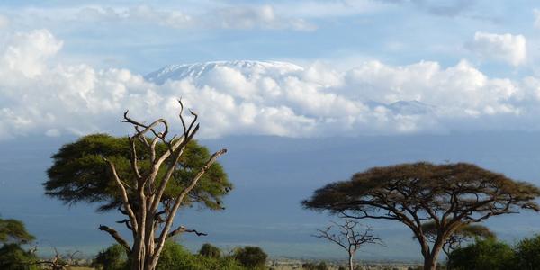 Amboseli, nad mraky Kilimandžáro