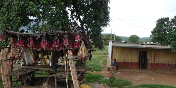 Cestou do Nairobi