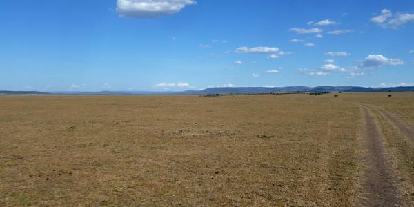 Masai Mara 2