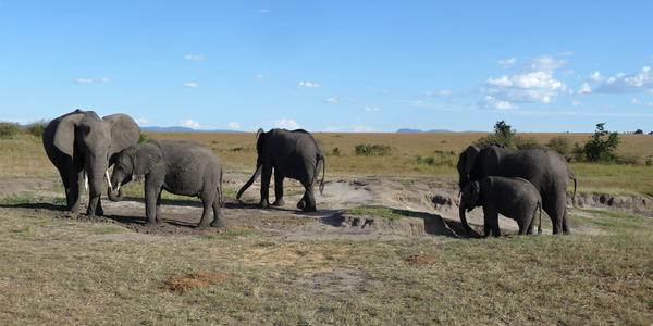 Masai Mara 6