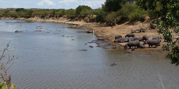Masai Mara, řeka Mara