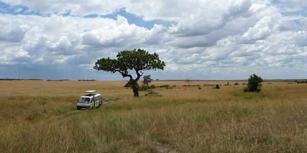 Masai Mara10