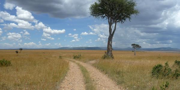 Masai Mara11