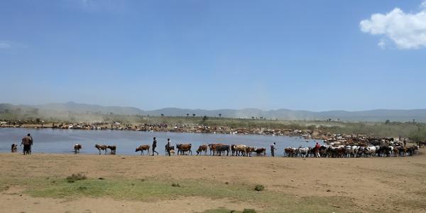 Na kraji Rift Valley