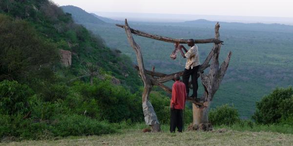 Ngulia Lodge,  pro levharta