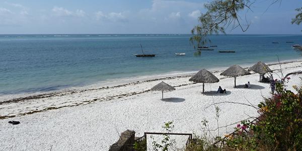 Nyali