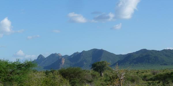 Tsavo West 2