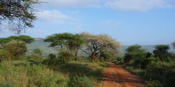Tsavo West 4