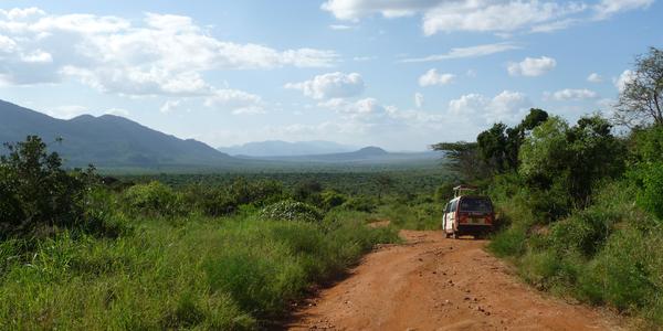 Tsavo West, typická cesta