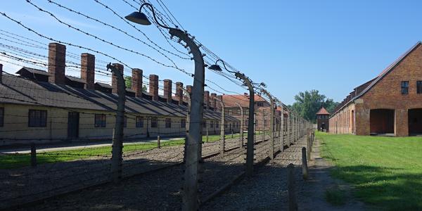 83. Osvětim, bez komentáře