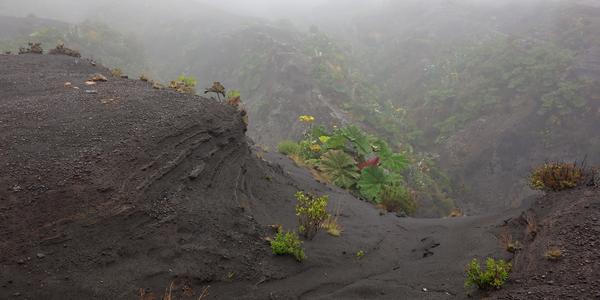 015. Vulkán Irazú