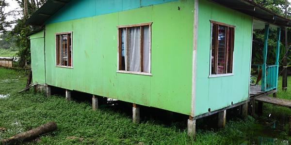 038. Život nad vodou, Tortuguero