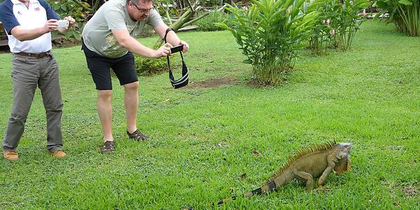 105. V zahradě Mawamba lodge, Tortuguero 26