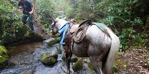 122. Fabián, Cerro Ena