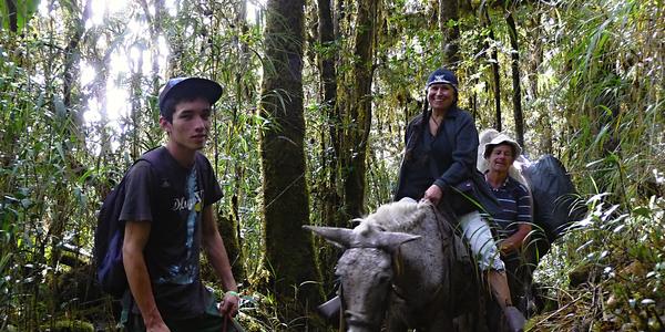124. Na mule na Cerro Ena