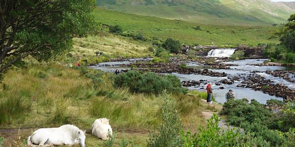 070. Connemara, u vodopádu na řece Erriff