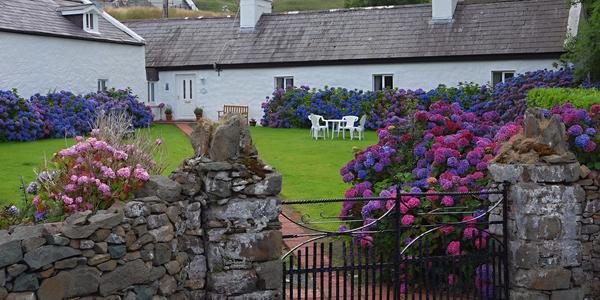 073. Connemara, obrázek z irského venkova