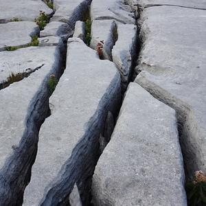 118. Hluboké škrapy na Black Head, Burren