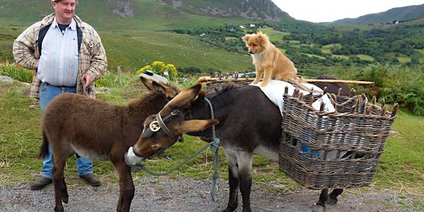 143. Kamarádi, Ring of  Kerry 1