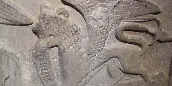188. Detail z Rock of Cashel