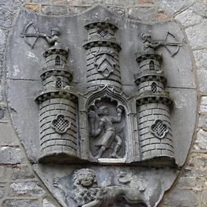 197. Městský znak Kilkenny