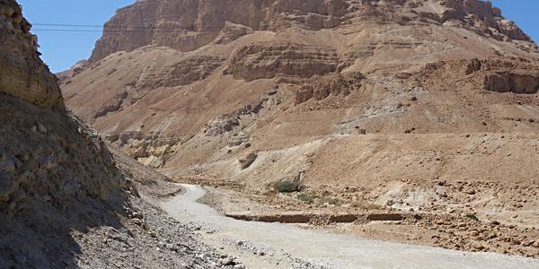 241. Skalní suk pevnosti Masada