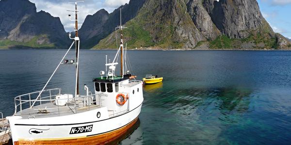 44. Lofoten