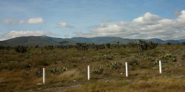 094. Krajina mezi Pueblou a Oaxaca