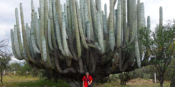095. Foto na památku, Tehuacán-Cuicatlan